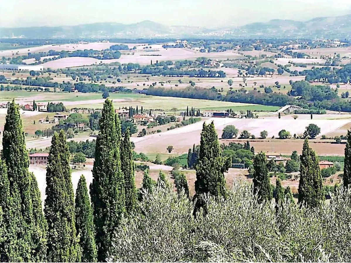 La Dormeuse Lejlighed Lucignano Italien